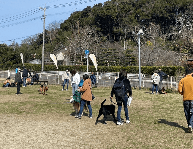 しつけ教室・料金・時間帯