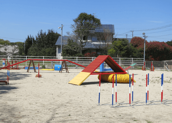 しつけ教室の実施風景13