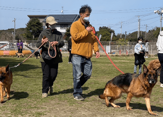 しつけ教室の実施風景9