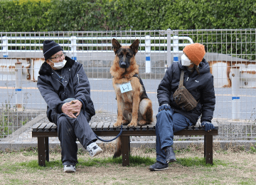 しつけ教室