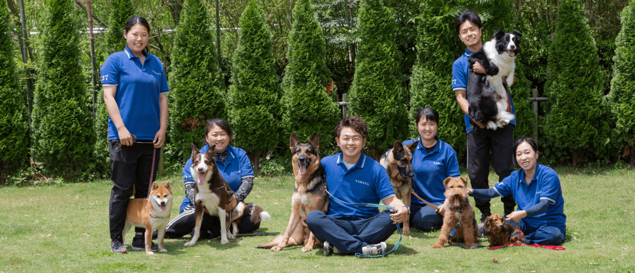 訓練士紹介